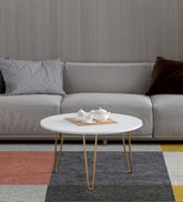Coffee Table in Gold and White Metal Finish - Decor Mantra