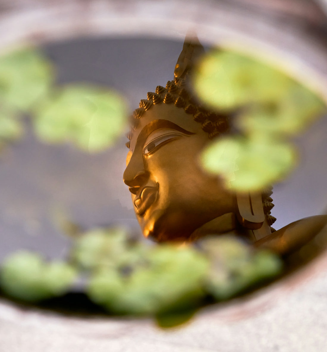 a close up of a buddha statue in a pond