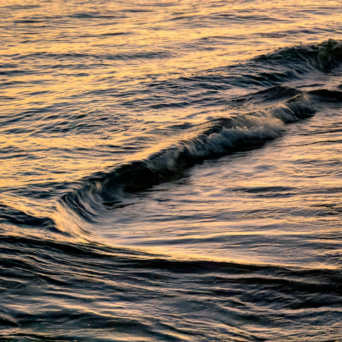 Golden sunset light reflects on ocean waves
