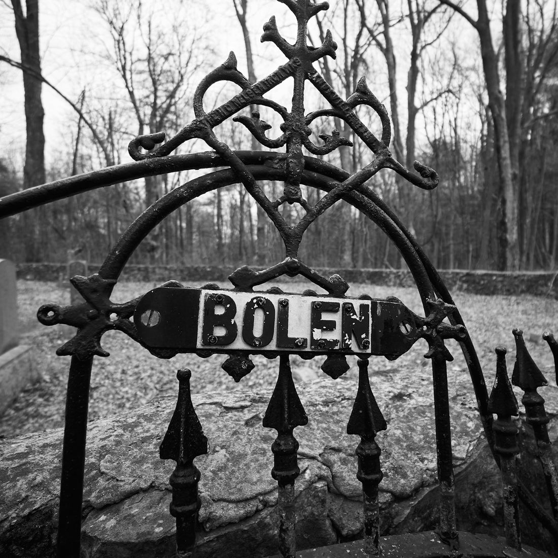Ornate wrought iron gate with bolen nameplate