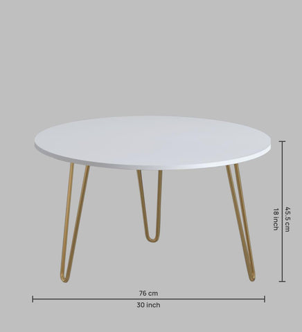 Coffee Table in Gold and White Metal Finish - Decor Mantra 