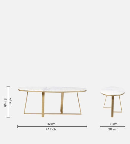 Coffee Table in Golden Finish and Elegant Marble Top - Decor Mantra 