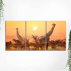 A Beautiful 3 Pieces Wall Painting of Giraffes Sunset in Background DECORMANTRA