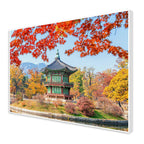 Autumn Season Floating Canvas Wall Painting DECORMANTRA