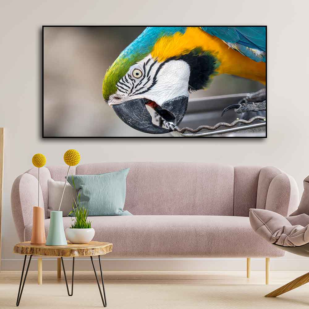 Beautiful Macaw Parrot Canvas Wall Painting Decor Mantra