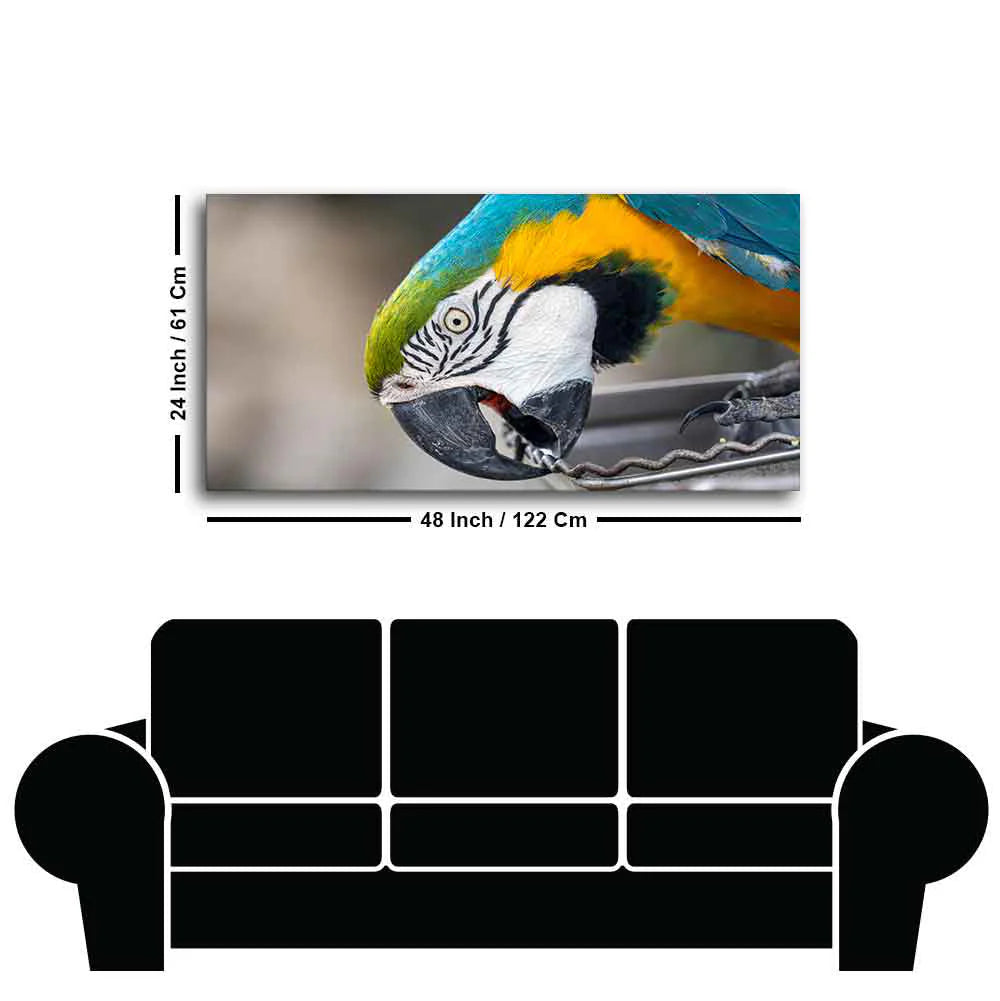 Beautiful Macaw Parrot Canvas Wall Painting Decor Mantra