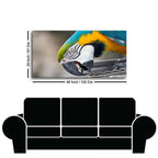 Beautiful Macaw Parrot Canvas Wall Painting Decor Mantra