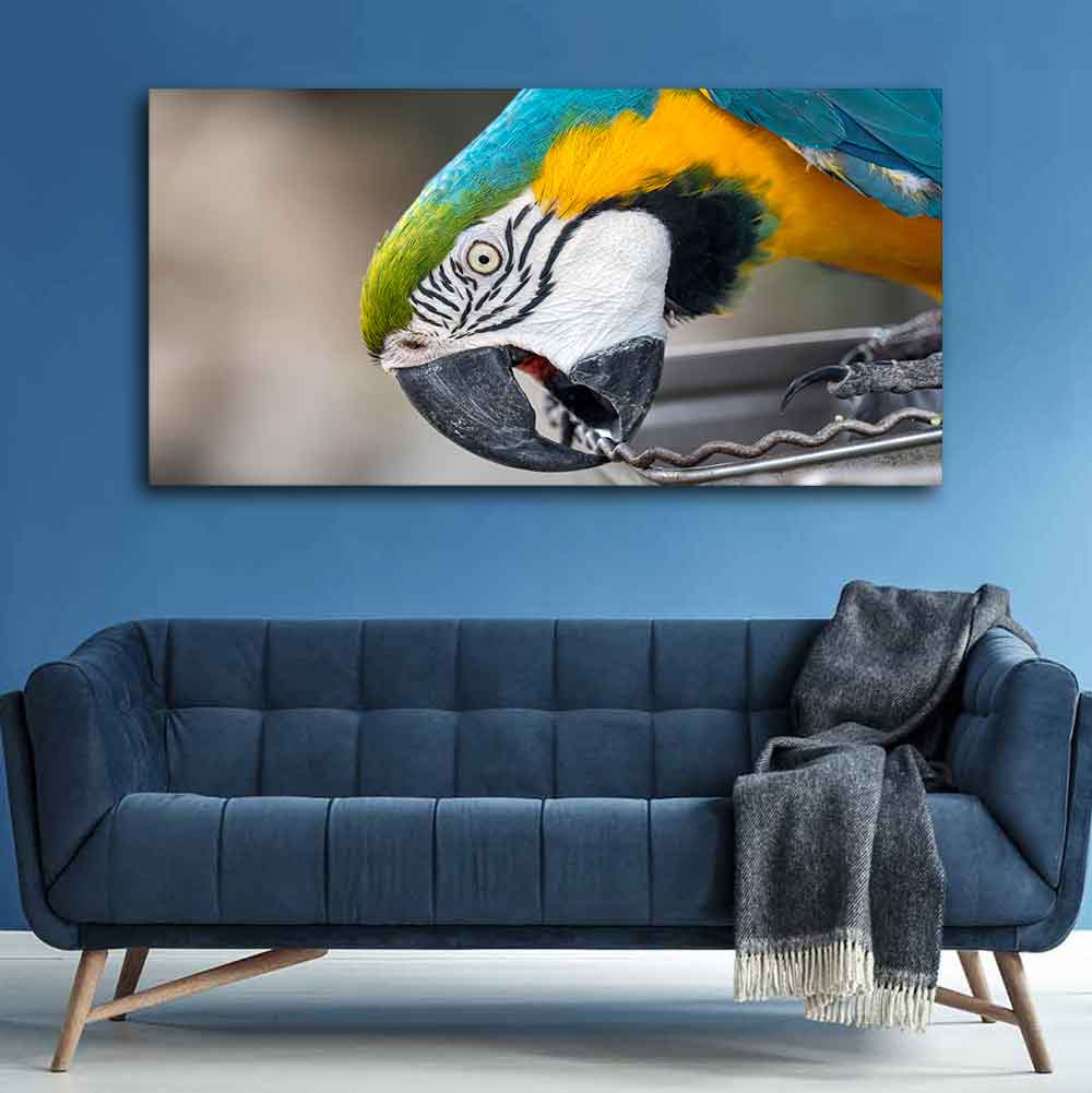 Beautiful Macaw Parrot Canvas Wall Painting Decor Mantra