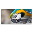 Beautiful Macaw Parrot Canvas Wall Painting Decor Mantra