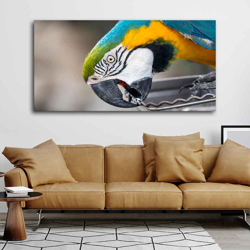 Beautiful Macaw Parrot Canvas Wall Painting Decor Mantra