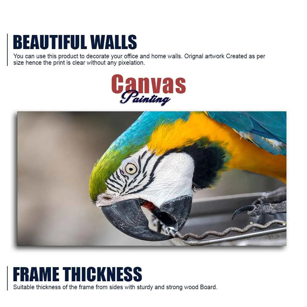 Beautiful Macaw Parrot Canvas Wall Painting Decor Mantra