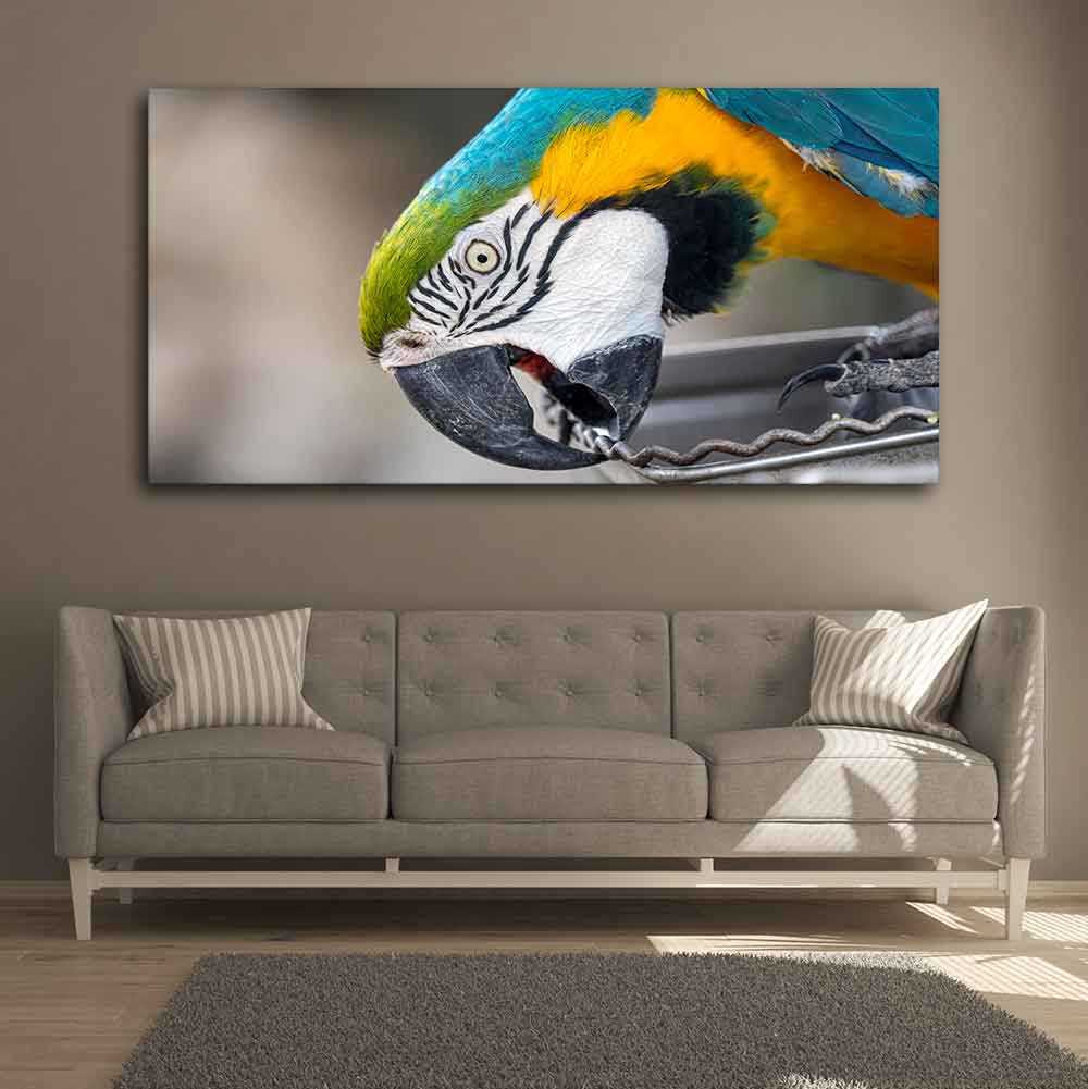 Beautiful Macaw Parrot Canvas Wall Painting Decor Mantra