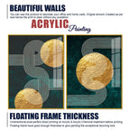 Golden Birds Flying Floating Acrylic Wall Painting Set of 2 - Decor Mantra 