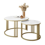 Framed Binani Coffee Table - Decor Mantra 