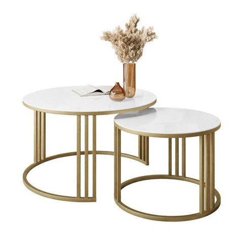 Framed Binani Coffee Table - Decor Mantra 