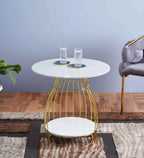 Gold-Accented Miko Coffee Table in White DECORMANTRA