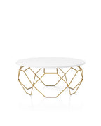 Coffee Table with Gold Wire Metal Frame - Decor Mantra 