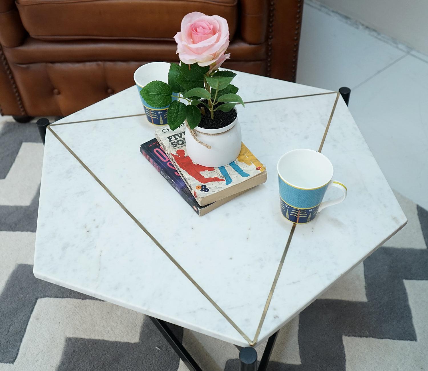 Elegant Taiga Coffee Table - Decor Mantra 