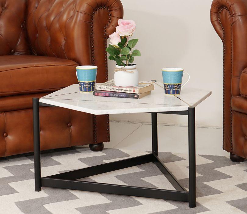 Elegant Taiga Coffee Table - Decor Mantra 