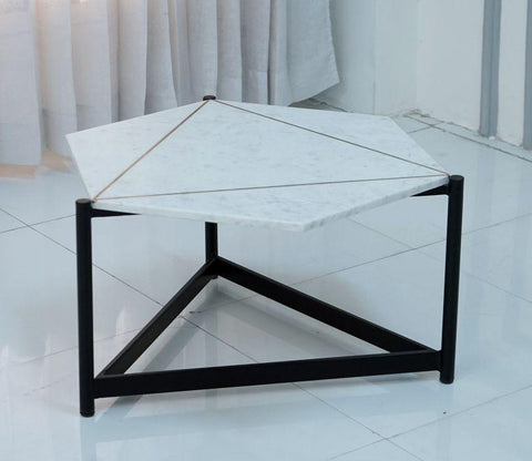 Elegant Taiga Coffee Table - Decor Mantra 