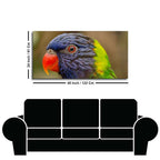 Colorful Parrot Premium Wall Painting DECORMANTRA