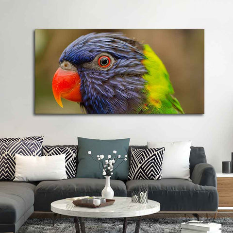Colorful Parrot Premium Wall Painting
