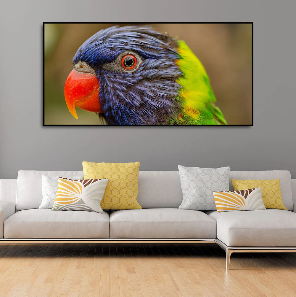 Colorful Parrot Premium Wall Painting DECORMANTRA
