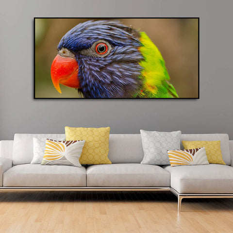 Colorful Parrot Premium Wall Painting