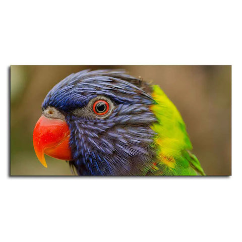 Colorful Parrot Premium Wall Painting