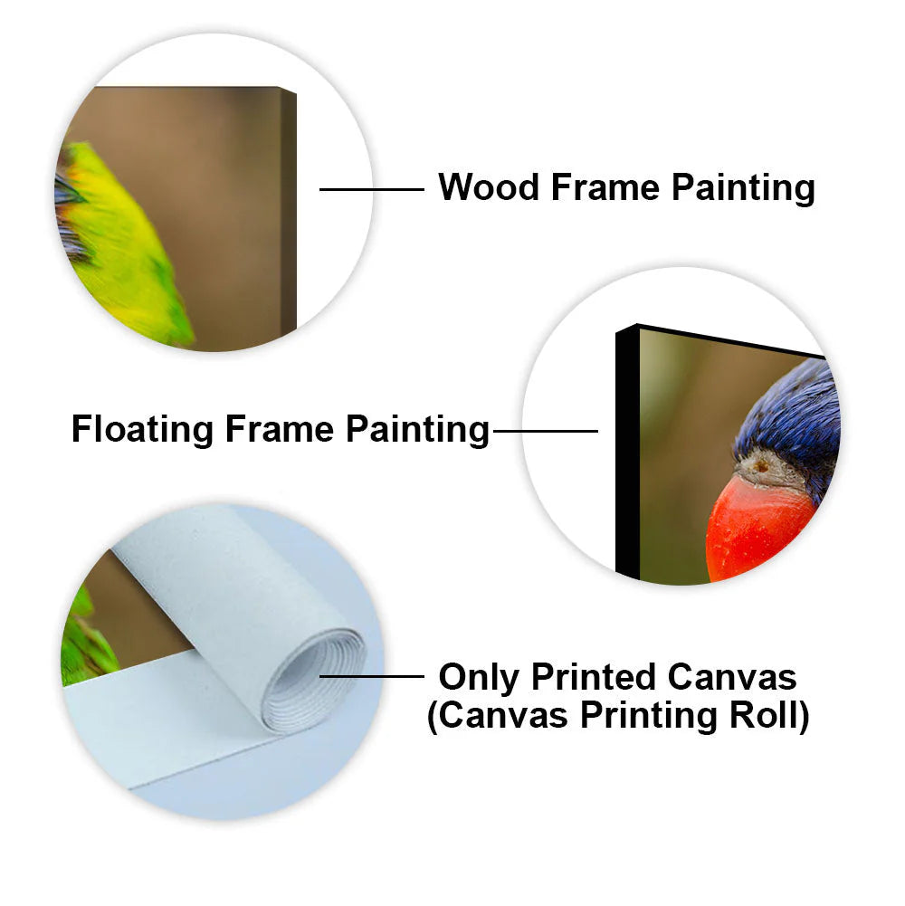 Colorful Parrot Premium Wall Painting DECORMANTRA