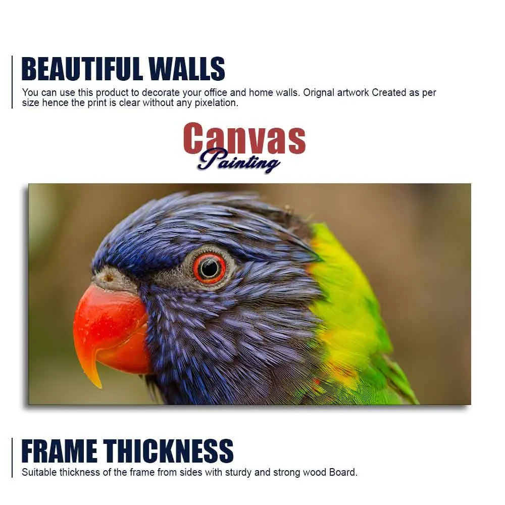 Colorful Parrot Premium Wall Painting DECORMANTRA