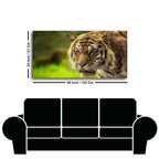 Tiger in Forest Premium Wall Painting - Decor Mantra 