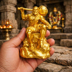 Hanuman Idol