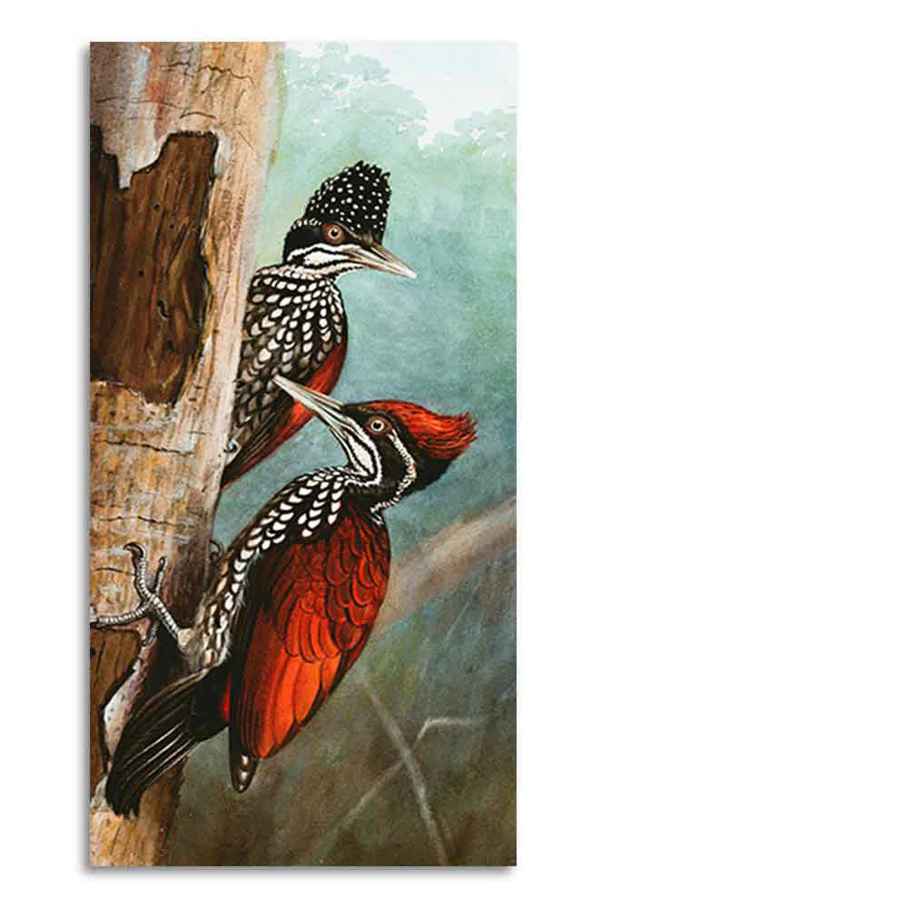 Ivory Billed Woodpecker Canvas Wall Painting For Hall DECORMANTRA