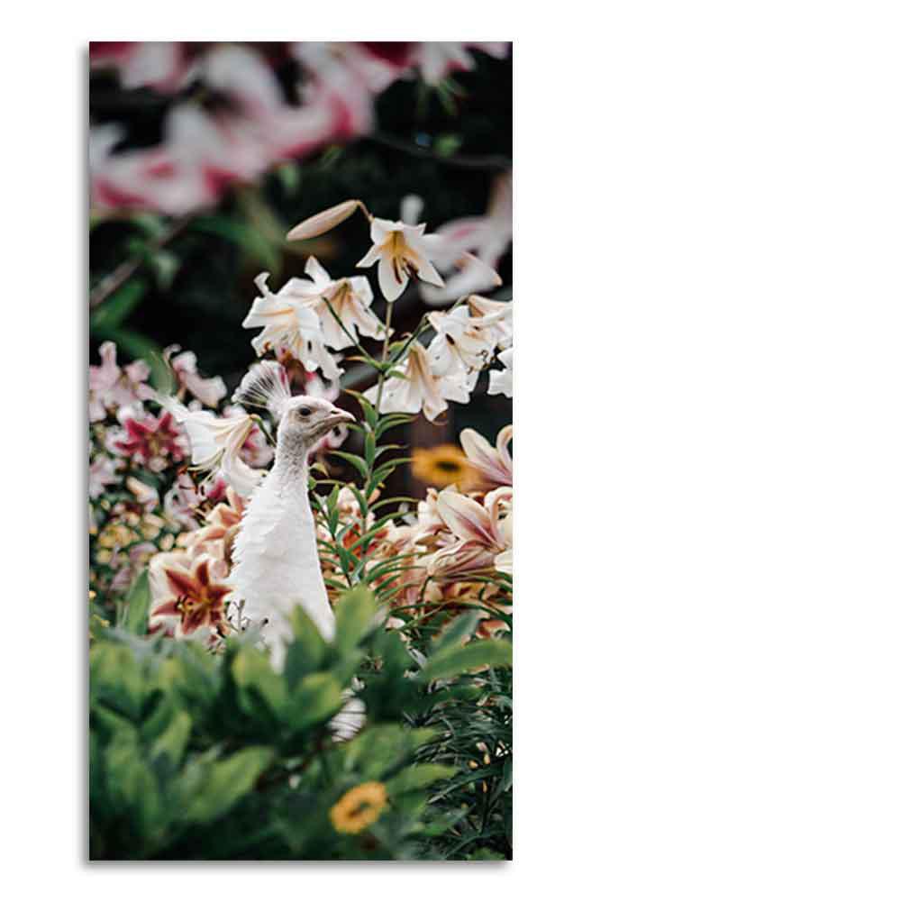 White Peacock Canvas Wall Painting - Decor Mantra 