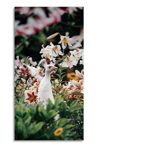 White Peacock Canvas Wall Painting - Decor Mantra 