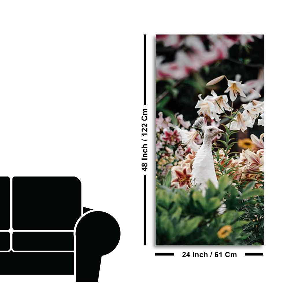 White Peacock Canvas Wall Painting - Decor Mantra 