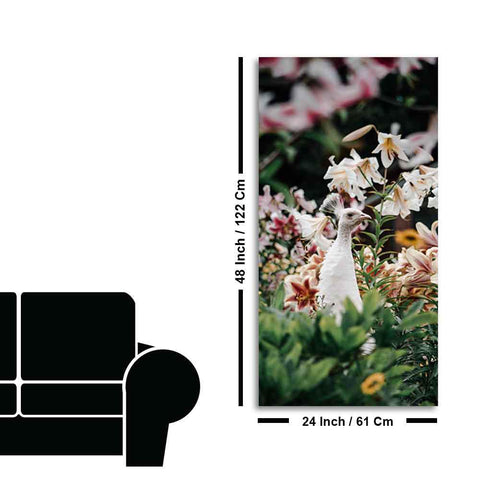 White Peacock Canvas Wall Painting - Decor Mantra 