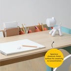 Cubby Dual Seater Study Desk - Decor Mantra 