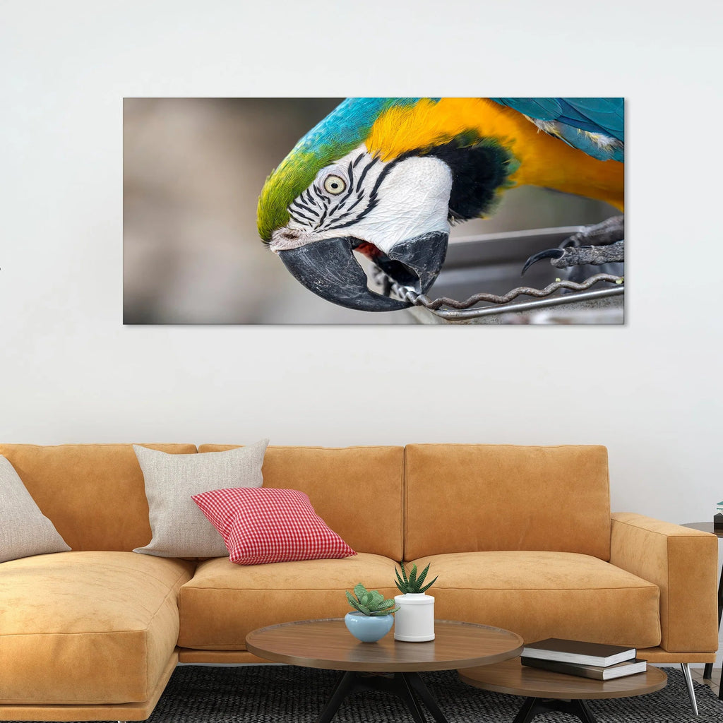 Macaw Parrot Premium Canvas Wall Painting Decor Mantra