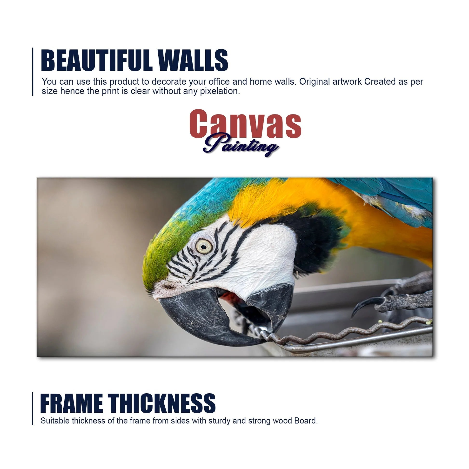 Macaw Parrot Premium Canvas Wall Painting Decor Mantra