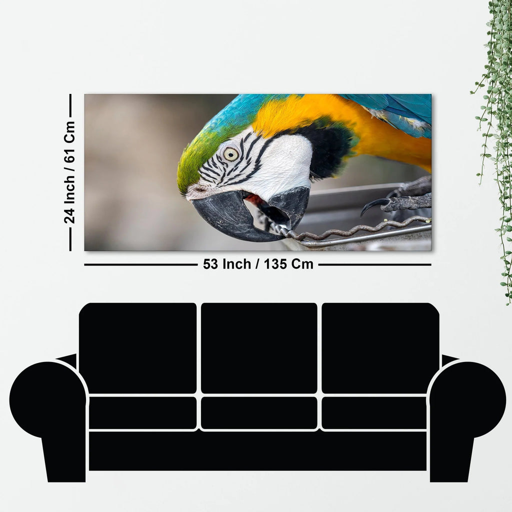 Macaw Parrot Premium Canvas Wall Painting Decor Mantra