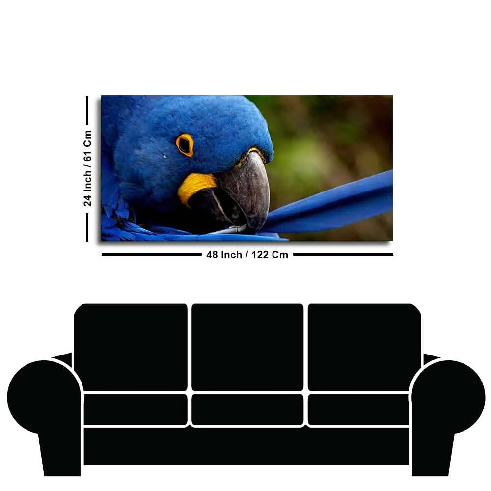 Premium Wall Painting of Blue Mascaw Parrot DECORMANTRA