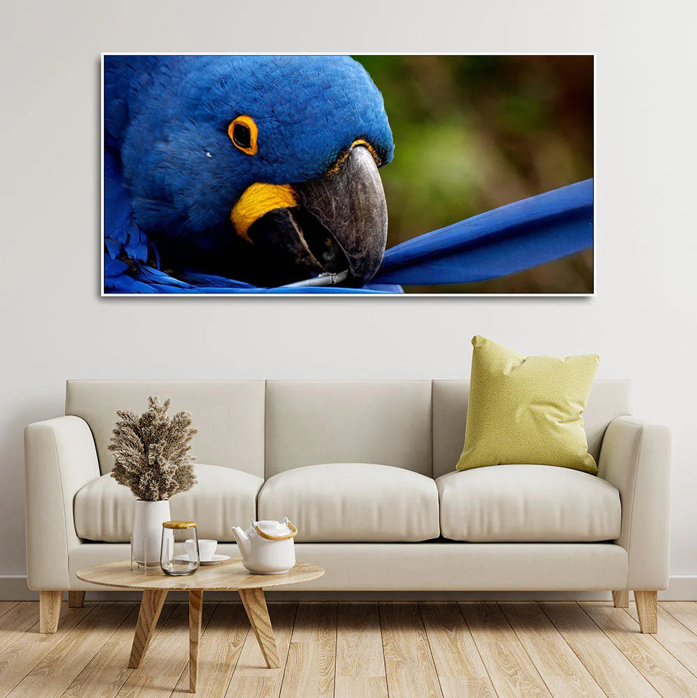 Premium Wall Painting of Blue Mascaw Parrot DECORMANTRA