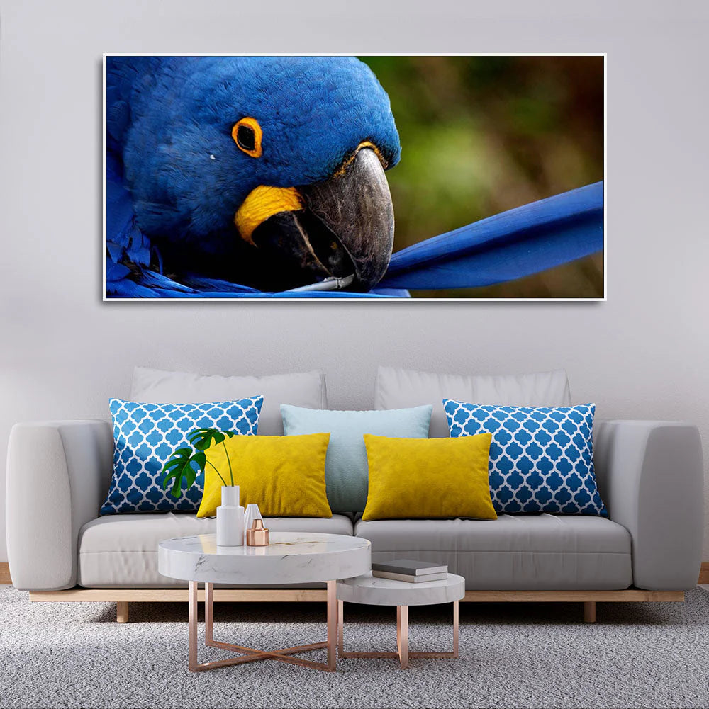 Premium Wall Painting of Blue Mascaw Parrot DECORMANTRA