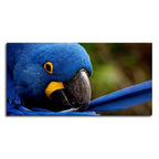 Premium Wall Painting of Blue Mascaw Parrot DECORMANTRA
