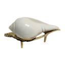 Shankh for Pooja - Decor Mantra 