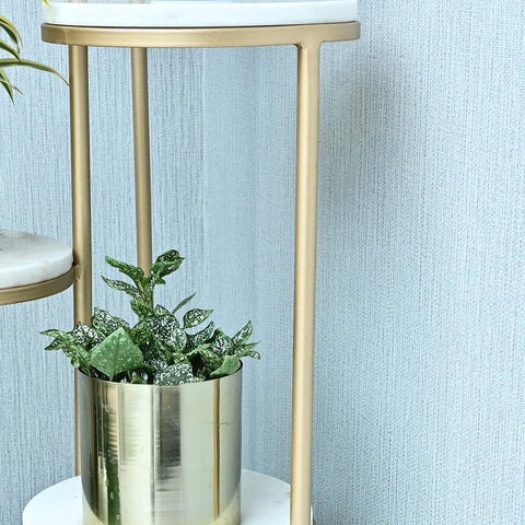 Beautiful Premium Looking Sturdy Metal Planter Stand With White Round Marble At Top - 4 Tier - Decor Mantra 