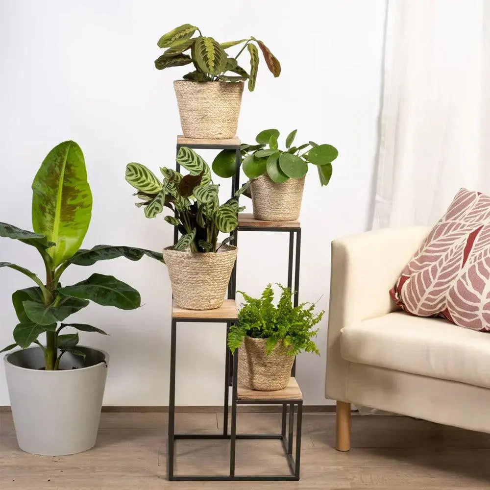 Black Metal Planter Stand with Premium Brown Wooden Shelves- 4 Tier - Decor Mantra 
