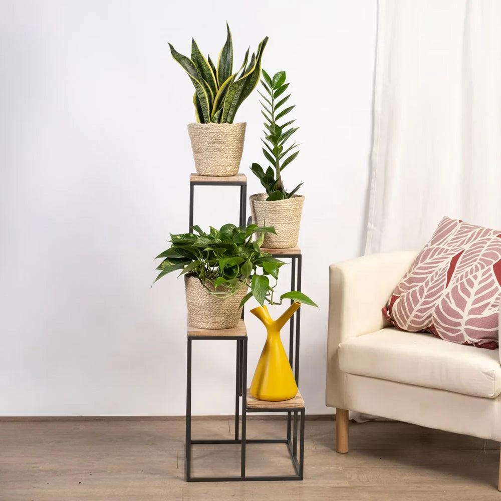 Black Metal Planter Stand with Premium Brown Wooden Shelves- 4 Tier - Decor Mantra 